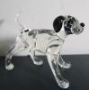 160.84.dalmatien copie 2.JPG